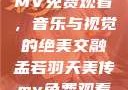 孟若羽天美传MV免费观看，音乐与视觉的绝美交融孟若羽天美传mv免费观看在线观看