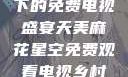 天美麻花星空下的免费电视盛宴天美麻花星空免费观看电视乡村版