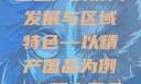 探索中国产业新面貌，一二三产的协同发展与区域特色—以精产国品为例99精产国品一二三产区区观看