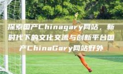 探索国产Chinagary网站，新时代下的文化交流与创新平台国产ChinaGary网站野外