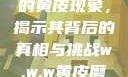 探索w.w.w下的黄皮现象，揭示其背后的真相与挑战w.w.w黄皮磨菇招商