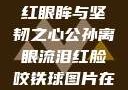 公孙离，泪红眼眸与坚韧之心公孙离眼流泪红脸咬铁球图片在线观看