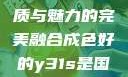 探索成色卓越的Y31，品质与魅力的完美融合成色好的y31s是国产a1a2a3a4a5