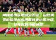 两峰夹小溪地湿又无泥，自然美景的描绘与应用两峰夹小溪地湿又无泥的小说免费