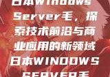 日本Windows Server毛，探索技术前沿与商业应用的新领域日本WINDOWSSERVER毛