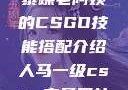 暴躁老阿姨的CSGO技能搭配介绍人马一级csgo交易网站