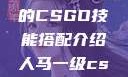 暴躁老阿姨的CSGO技能搭配介绍人马一级csgo交易网站