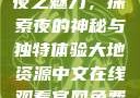 夜之魅力，探索夜的神秘与独特体验大地资源中文在线观看官网免费