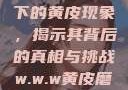 探索W.W.W下的黄皮现象，揭示其背后的真相与挑战w.w.w黄皮磨菇招商