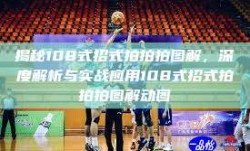 揭秘108式招式拍拍拍图解，深度解析与实战应用108式招式拍拍拍图解动图