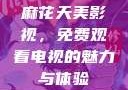 麻花天美影视，免费观看电视的魅力与体验