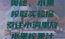 小洞中的果汁奥秘，水果榨取实验探索往小洞里放水果榨果汁会怎样视频