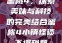 蜜桃4，探索美味与科技的完美结合蜜桃4小镇怪谈下逻辑题