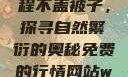 二人生猴子全程不盖被子，探寻自然繁衍的奥秘免费的行情网站www下载大全