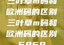 三叶草m码和欧洲码的区别三叶草m码和欧洲码的区别6868