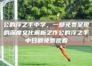 公的浮之手中字，一部免费呈现的深度文化解析之作公的浮之手中日剧免费观看