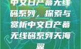 中文日产幕无线码系列，探索与赏析中文日产幕无线码系列天海翼