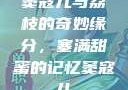 窦寇儿与荔枝的奇妙缘分，塞满甜蜜的记忆窦寇儿