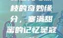 窦寇儿与荔枝的奇妙缘分，塞满甜蜜的记忆窦寇儿