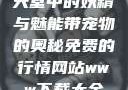 天堂中的妖精与魅能带宠物的奥秘免费的行情网站www下载大全