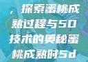 蜜桃成熟时，探索蜜桃成熟过程与5D技术的奥秘蜜桃成熟时5d澎湃新闻