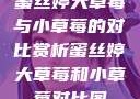 蜜丝婷大草莓与小草莓的对比赏析蜜丝婷大草莓和小草莓对比图