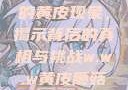 探索w.w.w下的黄皮现象，揭示背后的真相与挑战w.w.w黄皮磨菇招商