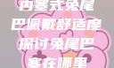内塞式兔尾巴佩戴舒适度探讨兔尾巴塞在哪里