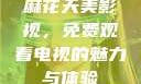 麻花天美影视，免费观看电视的魅力与体验