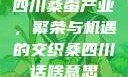 四川桑蚕产业，繁荣与机遇的交织桑四川话啥意思