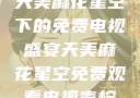 天美麻花星空下的免费电视盛宴天美麻花星空免费观看电视青柠