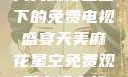 天美麻花星空下的免费电视盛宴天美麻花星空免费观看电视青柠