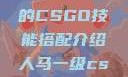 暴躁老阿姨的CSGO技能搭配介绍人马一级csgo交易网站