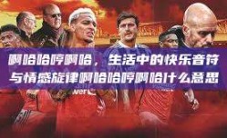 啊哈哈哼啊哈，生活中的快乐音符与情感旋律啊哈哈哼啊哈什么意思