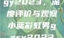 宏翔小蓝视频gy2023，深度评价与观察小蓝彩虹男gary2023的音乐作品