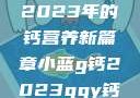小蓝G钙与GGY钙，探索2023年的钙营养新篇章小蓝g钙2023ggy钙2023的功能介绍