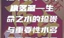 水多多，生活中的不可或缺之源
水多多—生命之水的珍贵与重要性水多多避孕套属于什么档次