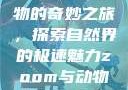 Zoom与动物的奇妙之旅，探索自然界的极速魅力zoom与动物zoom大全