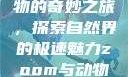 Zoom与动物的奇妙之旅，探索自然界的极速魅力zoom与动物zoom大全