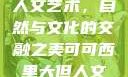可可西里大的人文艺术，自然与文化的交融之美可可西里大但人文艺术图