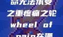 疼痛之轮，生命无法承受之重疼痛之轮wheel of pain在哪里