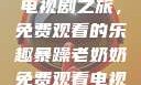 暴躁老奶奶的电视剧之旅，免费观看的乐趣暴躁老奶奶免费观看电视剧完整版
