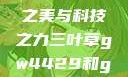 三叶草GW4429，自然之美与科技之力三叶草gw4429和gw4334的外观对比