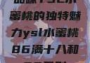品味YSL水蜜桃的独特魅力ysl水蜜桃86满十八和88区别