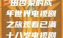 冲破青春界限，观看冲田杏梨的成年世界电视剧之旅观看已满十八岁电视剧冲田杏梨让五