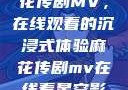 星空下的麻花传剧MV，在线观看的沉浸式体验麻花传剧mv在线看星空影视评价