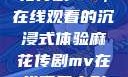 星空下的麻花传剧MV，在线观看的沉浸式体验麻花传剧mv在线看星空影视评价