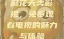 麻花天美影视，免费观看电视的魅力与体验