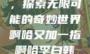 啊哈又加一指，探索无限可能的奇妙世界啊哈又加一指啊哈李白韩信