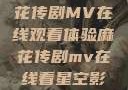 星空下的麻花传剧MV在线观看体验麻花传剧mv在线看星空影视评价